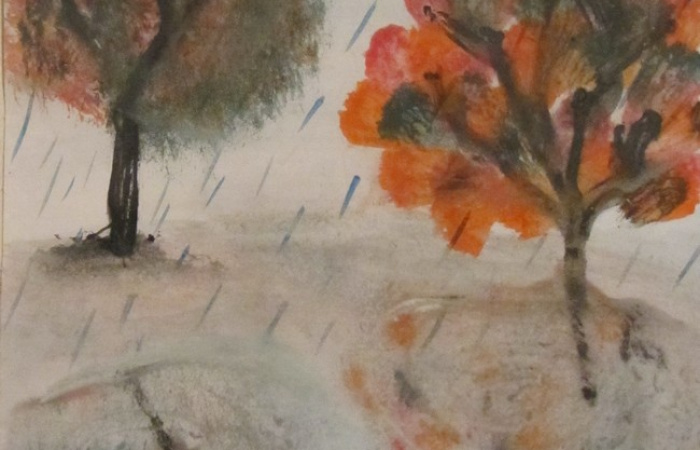 Зеркало осеннего дождя